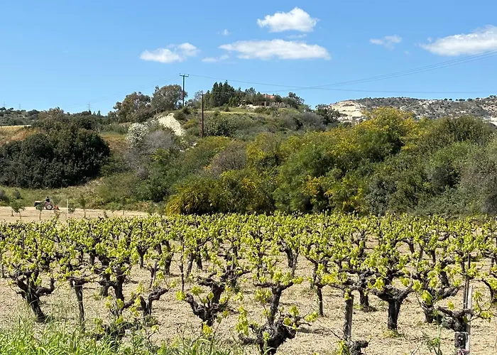 Royal Seacrest Luxe 2b Poolside Apartmán
