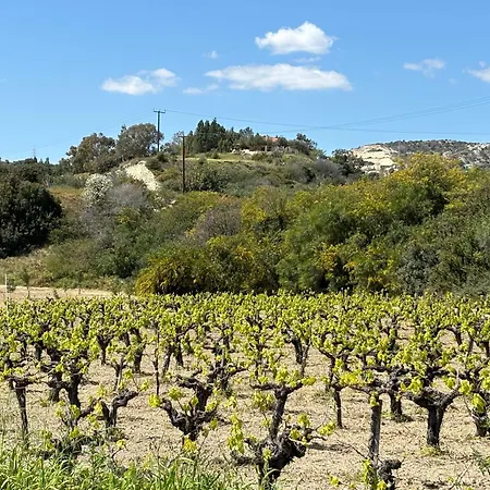 Royal Seacrest Luxe 2b Poolside アパート